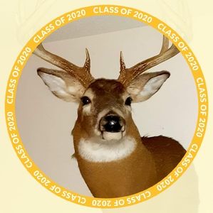 Meet your Posher, Luke